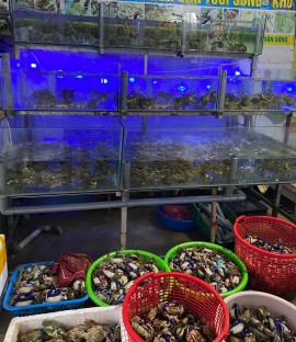Cung cấp nước biển tự nhiên cho nhà hàng tại Quảng Ninh giá rẻ 