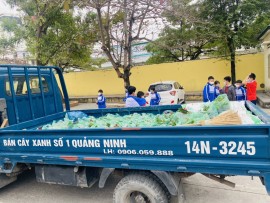 Môi Trường Xanh Quảng Ninh Cung Cấp Cây Xanh Chất Lượng Cho Trường THCS và THPT Quảng La, Thái Bình Minh