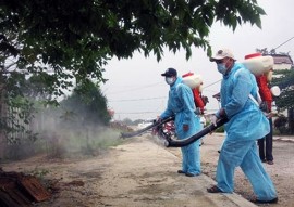 [GIẢI PHÁP CẤP TỐC] PHUN THUỐC DIỆT MUỖI TẠI QUẢNG NINH - GỌI NGAY 0967.529.668 - MÔI TRƯỜNG XANH, XUA TAN NỖI LO DỊCH BỆNH!
