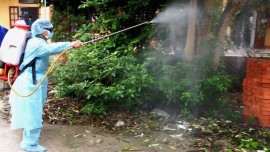 DỊCH VỤ DIỆT MUỖI TẠI BA CHẼ - GỌI NGAY 0967.529.668 - MÔI TRƯỜNG XANH, TRẢ LẠI KHÔNG GIAN SỐNG AN TOÀN!