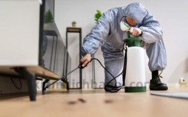DIỆT MỐI TẬN GỐC TẠI CẨM PHẢ: GIẢI PHÁP CHUYÊN NGHIỆP BẢO VỆ NGÔI NHÀ BẠN! - GỌI NGAY: 0967.529.668