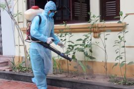 DỊCH VỤ DIỆT MUỖI TẠI CÔ TÔ - GỌI NGAY 0967.529.668 - MÔI TRƯỜNG XANH, BẢO VỆ HÒN ĐẢO XANH!