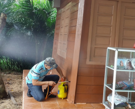 DIỆT MỐI TẬN GỐC TẠI MÓNG CÁI | HOTLINE 0967.529.668 - MÔI TRƯỜNG XANH QUẢNG NINH