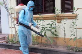 DIỆT MUỖI TẠI HẢI HÀ - MÔI TRƯỜNG XANH: 