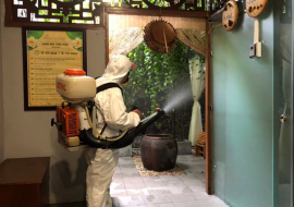 DIỆT MUỖI CHO VĂN PHÒNG – ĐẢM BẢO MÔI TRƯỜNG LÀM VIỆC TRONG LÀNH & AN TOÀN TẠI QUẢNG NINH – HOTLINE: 0967.529.668