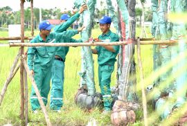 Dịch vụ trọn gói cung cấp cây xanh Tại Quảng Ninh 