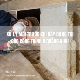 Tầm Quan Trọng Của Việc Xử Lý Mối Trước Khi Xây Dựng Cho Công Trình Hiện Đại