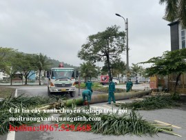 Dịch vụ cắt tỉa cây xanh, chặt hạ cây xanh mùa mưa bão uy tín số 1 Quảng Ninh/ 0967.529.668