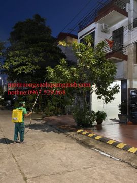 Dịch vụ phun thuốc trừ sâu bệnh cho cây xanh giá rẻ tại Hạ Long / 0967.529.668