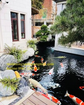 Thiết kế hồ cá Koi 15 khối đẹp giá tốt tại Quảng Ninh /0967.529.668