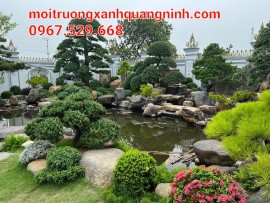 CUNG CẤP CÂY CẢNH NGHỆ THUẬT TRANG TRÍ HỒ CẤ KOI TẠI HẠ LONG, CẨM PHẢ LIÊN HỆ: 0967.529.668