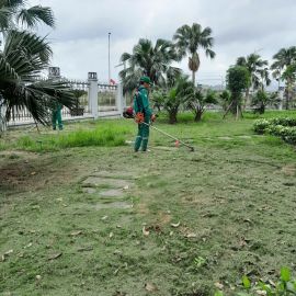 Môi Trường Xanh 
