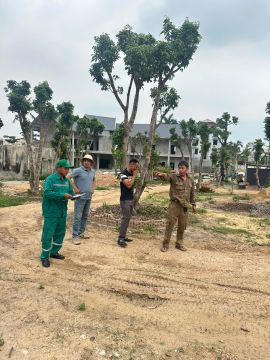 Môi Trường Xanh 