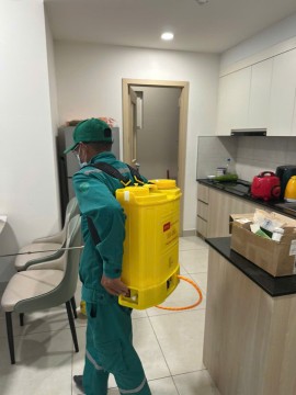 DIỆT MUỖI TẬN GỐC TẠI MÓNG CÁI – PHUN MUỖI DIỆT CÔN TRÙNG AN TOÀN & HIỆU QUẢ TỪ MÔI TRƯỜNG XANH QUẢNG NINH – HOTLINE: 0967.529.668