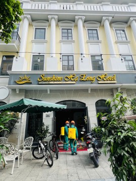 Mùa Mưa Muỗi Bùng Phát? Phun Thuốc Diệt Muỗi Ngay - Bảo Vệ Toàn Diện 24/7! | Hotline 0967.529.668 - Môi Trường Xanh Quảng Ninh